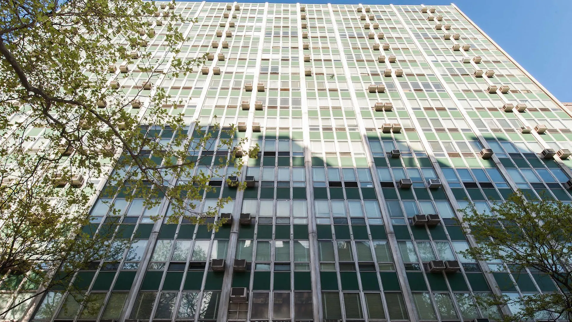 New York City Summer Dorms 2*, ニューヨーク