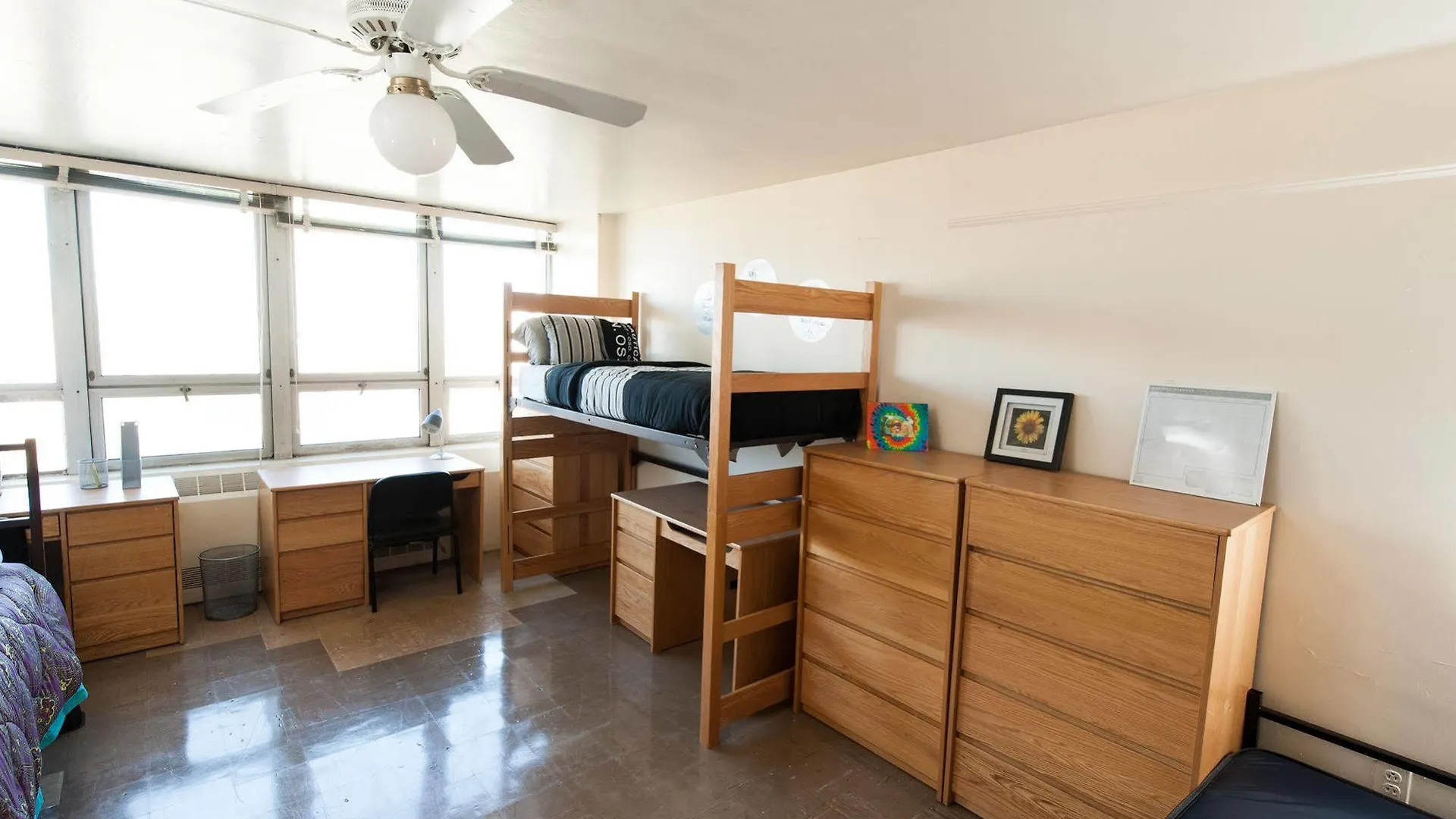 New York City Summer Dorms ホテル ニューヨーク